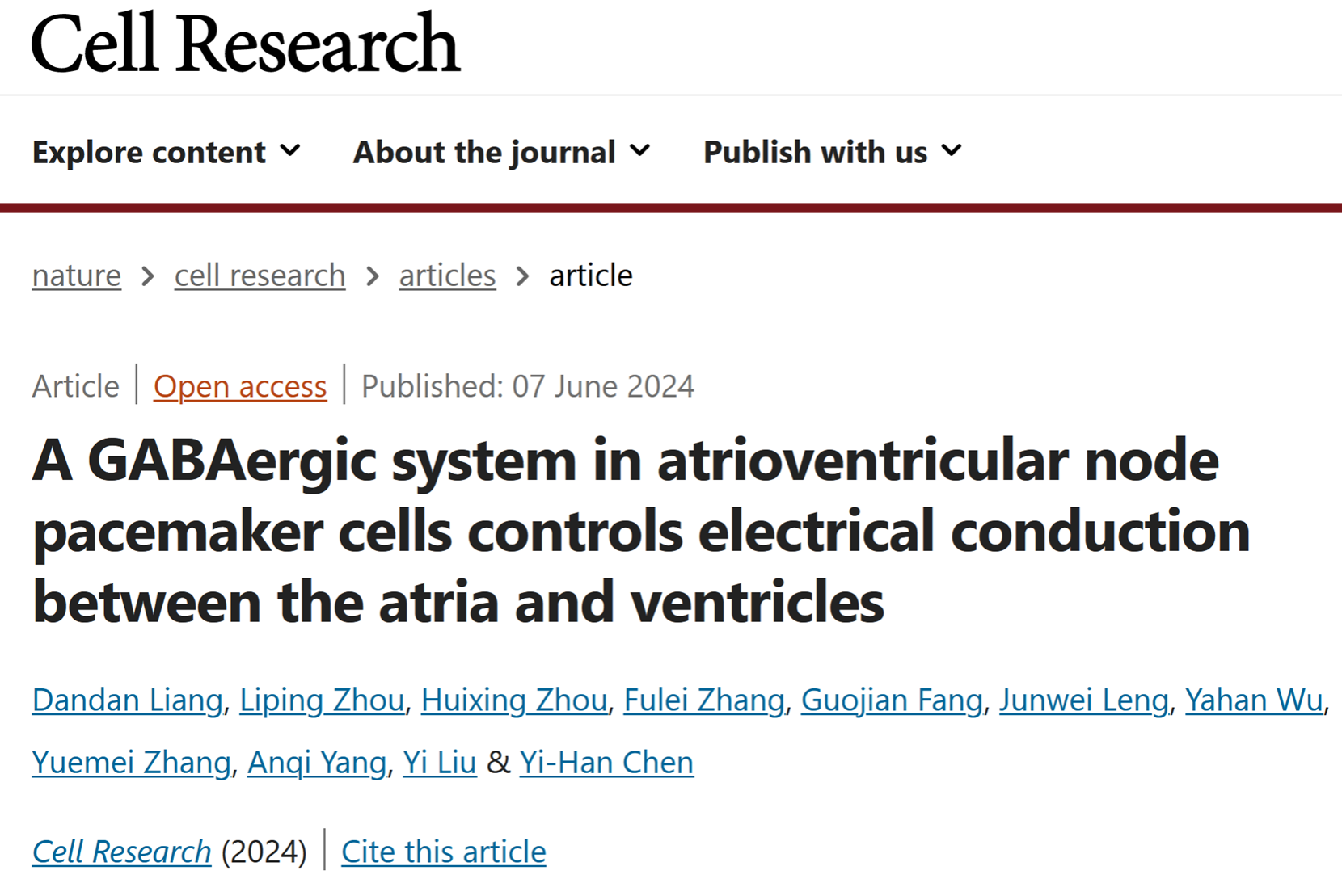Cell Res | 美高梅陈义汉团队报道心脏γ-氨基丁酸能系统的发现